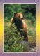 Animaux - Ours - Ours Des Pyrénées - Bear - CPM - Carte Neuve - Voir Scans Recto-Verso - Ours