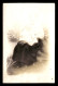 CACHET GEFANGENEN-LAGER ALTDAMM N°19 SUR CARTE PHOTO FEMME ET ENFANT - GUERRE 14/18 - Guerra Del 1914-18
