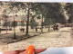DRAGUIGNAN - Avenue De La Gare - CPA - CP - Carte Postale - Draguignan