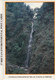 BHUTAN Post 1993 Set Of 17 Environmental Trust Fund Postcards, Unused In Cover - Bhoutan