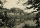 37 - Amboise - Le Château Encadré Dans La Verdure - CPSM Grand Format - Carte Neuve - CPM - Voir Scans Recto-Verso - Amboise