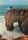 56 - Presqu'Ile De Quiberon - CPM - Voir Scans Recto-Verso - Quiberon