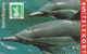 Denmark, KP 101, Dolphins (Puzzle 2/2), Mint Only 2.500 Issued, 2 Scans.  Please Read - Denmark