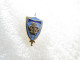 TOP PIN'S   MILITARIA   FLEUR DE LYS  Email Grand Feu DESTREE  1994  250 Exemplaires - Militaria