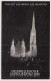 Delcampe - Austria 1952 ⁕ Österreichischer Katholikentag Offizielle Festpostkarte Wien 1952 Murau Österreich Stephansdom Stefansdom - Iglesias