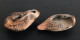 Deux Anciennes Lampes à Huile En Terre Cuite, époque Romaine, 100-300 AD - Archéologie
