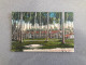 Sea View Hotel, Tanjong Katong Singapore Carte Postale Postcard - Singapur