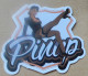 THEME FEMME / SEXY : AUTOCOLLANT PIN UP - Stickers