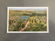 Wild Flower Reserve - Caledon - Veldblomtuin Carte Postale Postcard - South Africa