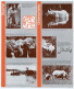 Delcampe - Dépliant Touristique.Amérique New York Wild Asia.Bronx Zoo.Kanha Meadow.south China Hills.Angkor Forest.Tiger Machan. - Tourism Brochures