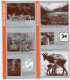 Delcampe - Dépliant Touristique.Amérique New York Wild Asia.Bronx Zoo.Kanha Meadow.south China Hills.Angkor Forest.Tiger Machan. - Tourism Brochures