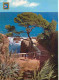 Espagne - Espana - Cataluna - Costa Brava - Cami De Ronda - Chemin De Ronde - CPM - Voir Scans Recto-Verso - Gerona