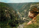 48 - Les Gorges Du Tarn - Vue Panoramique Sur Les Détroits Et La Vallée Du Tarn Vers Le Rozier Dominés Par Le Roc Des Ho - Gorges Du Tarn