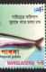 Bangladesh 2002 Commemorative FISH Ompook Pabda Color Shift Error - Bangladesh