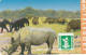 Denmark, KP 073, Rhinoceros (Part Of Puzzle 2/2), Mint Only 3500 Issued, 2 Scans. - Denmark