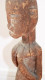 Art Africain Cimier Ty Wara Mali Bambara 71 Cm - Afrikaanse Kunst