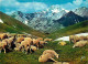 Animaux - Moutons - Troupeau De Moutons Dans Les Pâturages Alpestres - CPM - Voir Scans Recto-Verso - Andere & Zonder Classificatie