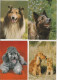 LOT DE 40 CARTES . - Chiens De Toutes Races - Dogs