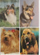 Delcampe - LOT DE 40 CARTES . - Chiens De Toutes Races - Dogs