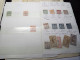 Delcampe - DM957 LOT FEUILLES ALEXANDRIE / FRANCE ET DIVERS N / O A TRIER COTE++ DEPART 10€ - Collections (en Albums)