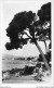 ABTP4-06-0355 - JUAN-LES-PINS - Vue De La Pinede  - Juan-les-Pins