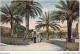 ABTP1-06-0089 - NICE - Le Jardin Public Et Les Palmiers - Parcs Et Jardins