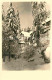 72634534 Waldbaerenburg Winterlandschaft Hotel Pension Alexanderhaus Waldbaerenb - Altenberg