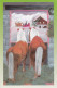 Delcampe - Horse - Cheval - Paard - Pferd - Cavallo - Cavalo - Caballo - Häst - 6 Mini Postcards - Villivarsa - Wild Foal - Cavalli