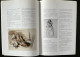 Delcampe - Catalogue EXPO 2000 Mathurin MÉHEUT - "L'Éloge Du GESTE" Musée LAMBALLE - Chrystèle Rosé Anne De Stoop ... §TOP RARE§ - Art