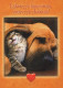 CHIEN Animaux Vintage Carte Postale CPSM #PAN555.A - Hunde