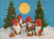BABBO NATALE Buon Anno Natale GNOME Vintage Cartolina CPSM #PBB014.A - Santa Claus