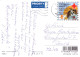 GATO GATITO Animales Vintage Tarjeta Postal CPSM #PBQ939.A - Chats