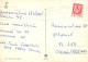 PERRO Animales Vintage Tarjeta Postal CPSM #PBQ599.A - Honden