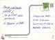 PERRO Animales Vintage Tarjeta Postal CPSM #PBQ594.A - Chiens
