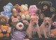 PERRO Animales Vintage Tarjeta Postal CPSM #PBQ469.A - Dogs