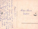 CAVALLO Vintage Cartolina CPSMPF #PKG936.A - Chevaux