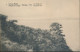 ZAC BELGIAN CONGO  PPS SBEP 52 VIEW 7 UNUSED - Entiers Postaux