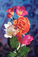 FIORI Vintage Cartolina CPSM #PAS232.IT - Fleurs