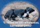 HUND Tier Vintage Ansichtskarte Postkarte CPSM #PAN702.DE - Dogs