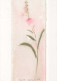 FIORI Vintage Cartolina CPSM #PBZ519.IT - Flowers