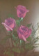 FLORES Vintage Tarjeta Postal CPSM #PAR928.ES - Flowers