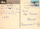 GATO GATITO Animales Vintage Tarjeta Postal CPSM #PAM631.ES - Cats