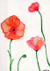 FLOWERS Vintage Ansichtskarte Postkarte CPSM #PBZ822.DE - Fleurs