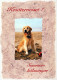 HUND Tier Vintage Ansichtskarte Postkarte CPSM #PBQ527.DE - Chiens