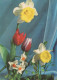 FLEURS Vintage Carte Postale CPSM #PAR087.FR - Flowers