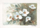 FLORES Vintage Tarjeta Postal CPSM #PBZ216.ES - Flowers