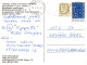 LAPIN Animaux Vintage Carte Postale CPSM #PBR045.FR - Autres & Non Classés