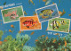 FISH Animals Vintage Postcard CPSM #PBS881.GB - Fische Und Schaltiere