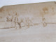 PHOTO ANCIENNE ANTIQUE FOTO SNAPSHOT CHEVAUX TRAIT HERSE CHARRUE LABOUR MONTREUIL VINTAGE - Métiers