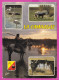 294210 / France -LA CAMARGUE Horse Bull Flamingos Lake PC 1983 USED 1.60+1.60Fr. Liberty Of Gandon Stes-Maries-de-la-Mer - 1982-1990 Vrijheid Van Gandon
